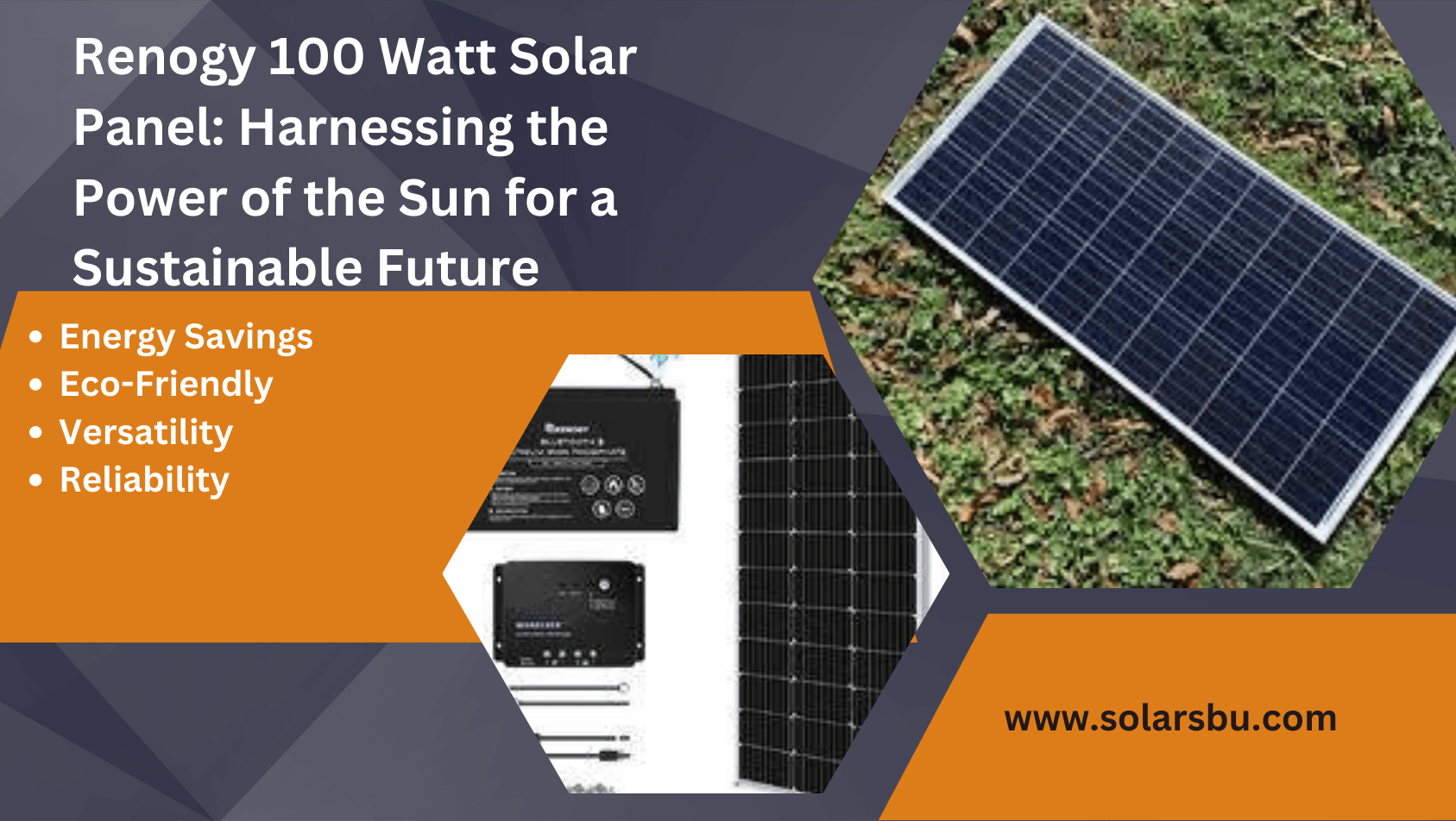 renogy 100 watt solar panel - solarsbu.com